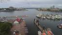 ./images/victoria/wharf/20200524/wharf20200524_114955.jpg