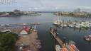 ./images/victoria/wharf/20200524/wharf20200524_120454.jpg