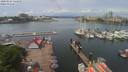 ./images/victoria/wharf/20200524/wharf20200524_122949.jpg