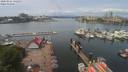 ./images/victoria/wharf/20200524/wharf20200524_130954.jpg