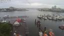 ./images/victoria/wharf/20200525/wharf20200525_115954.jpg