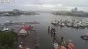 ./images/victoria/wharf/20200525/wharf20200525_120457.jpg