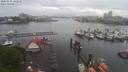 ./images/victoria/wharf/20200525/wharf20200525_121453.jpg