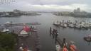 ./images/victoria/wharf/20200525/wharf20200525_122449.jpg
