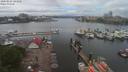 ./images/victoria/wharf/20200525/wharf20200525_142955.jpg