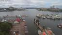 ./images/victoria/wharf/20200525/wharf20200525_143950.jpg