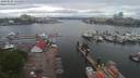 ./images/victoria/wharf/20200525/wharf20200525_152951.jpg