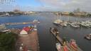 ./images/victoria/wharf/20200531/wharf20200531_091954.jpg