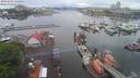 ./images/victoria/wharf/20200602/wharf20200602_152453.jpg