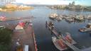 ./images/victoria/wharf/20200614/wharf20200614_062952.jpg