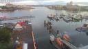 ./images/victoria/wharf/20200616/wharf20200616_052956.jpg