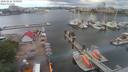 ./images/victoria/wharf/20200616/wharf20200616_150956.jpg