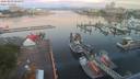 ./images/victoria/wharf/20200802/wharf20200802_054957.jpg