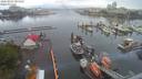 ./images/victoria/wharf/20200803/wharf20200803_081457.jpg