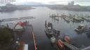 ./images/victoria/wharf/20200803/wharf20200803_082955.jpg