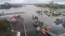 ./images/victoria/wharf/20200803/wharf20200803_084454.jpg