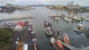 ./images/victoria/wharf/20200803/wharf20200803_092952.jpg