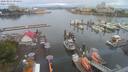 ./images/victoria/wharf/20200803/wharf20200803_094953.jpg