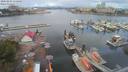 ./images/victoria/wharf/20200803/wharf20200803_112451.jpg