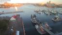 ./images/victoria/wharf/20200805/wharf20200805_062452.jpg