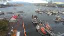 ./images/victoria/wharf/20200806/wharf20200806_071932.jpg