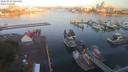 ./images/victoria/wharf/20200807/wharf20200807_064452.jpg