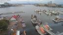 ./images/victoria/wharf/20200807/wharf20200807_142930.jpg