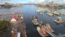 ./images/victoria/wharf/20200808/wharf20200808_094957.jpg