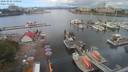 ./images/victoria/wharf/20200808/wharf20200808_110955.jpg