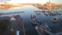 ./images/victoria/wharf/20200815/wharf20200815_065621.jpg