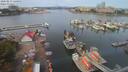 ./images/victoria/wharf/20200819/wharf20200819_120453.jpg