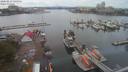 ./images/victoria/wharf/20200819/wharf20200819_142956.jpg