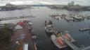 ./images/victoria/wharf/20200819/wharf20200819_162454.jpg