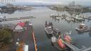 ./images/victoria/wharf/20200820/wharf20200820_073948.jpg