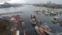 ./images/victoria/wharf/20200820/wharf20200820_094744.jpg