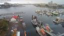 ./images/victoria/wharf/20200820/wharf20200820_095317.jpg