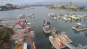 ./images/victoria/wharf/20200820/wharf20200820_125118.jpg
