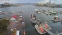 ./images/victoria/wharf/20200820/wharf20200820_151246.jpg