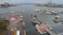 ./images/victoria/wharf/20200820/wharf20200820_153539.jpg