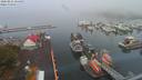 ./images/victoria/wharf/20200821/wharf20200821_064454.jpg