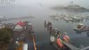 ./images/victoria/wharf/20200821/wharf20200821_092450.jpg