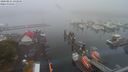 ./images/victoria/wharf/20200821/wharf20200821_102949.jpg