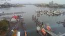 ./images/victoria/wharf/20200821/wharf20200821_113952.jpg