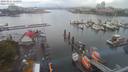 ./images/victoria/wharf/20200821/wharf20200821_120951.jpg