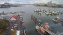 ./images/victoria/wharf/20200821/wharf20200821_124955.jpg