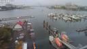 ./images/victoria/wharf/20200821/wharf20200821_130957.jpg