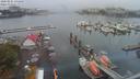 ./images/victoria/wharf/20200821/wharf20200821_131450.jpg