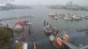 ./images/victoria/wharf/20200821/wharf20200821_135454.jpg