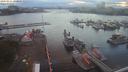./images/victoria/wharf/20200821/wharf20200821_200955.jpg