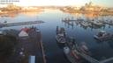 ./images/victoria/wharf/20200830/wharf20200830_071956.jpg